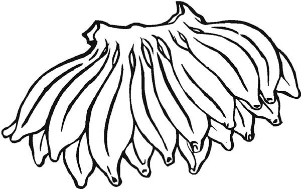 600x377 Banana From South America Coloring Page Coloring Sun