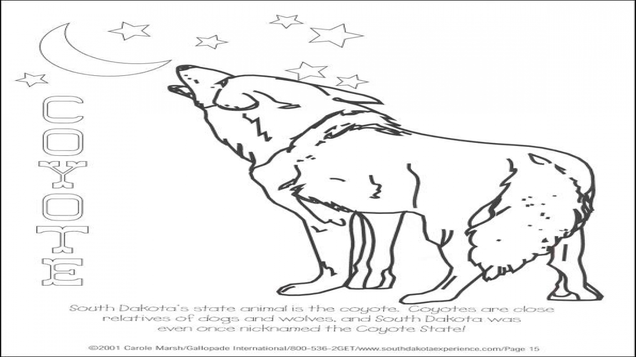 1280x720 South Dakota Coloring Sheet State Books From Gallopade Book