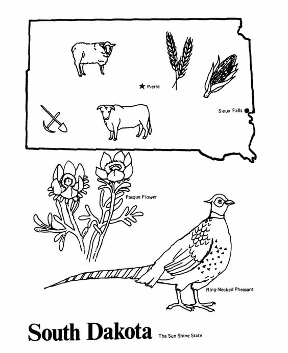 564x690 Usa Printables State Of South Dakota Coloring Pages