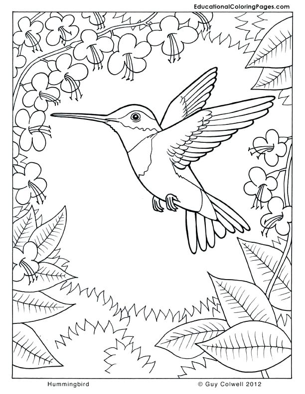 612x792 Printable Coloring For Kids And Drawn Nature Colouring Page