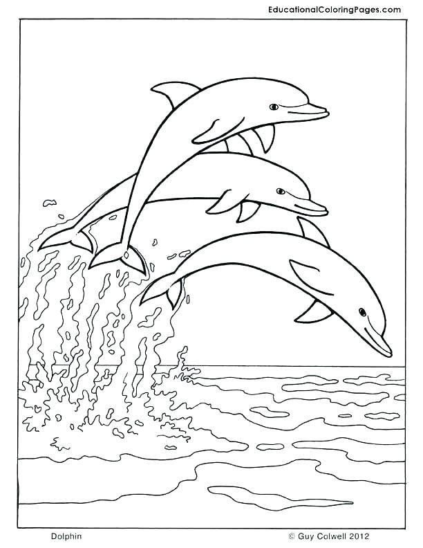 612x792 Marine Coloring Pages Biology Coloring Pages Medium Size Of Pages
