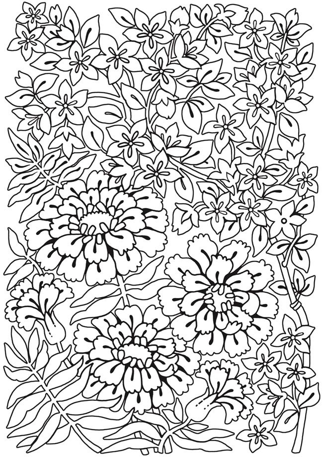 650x920 Welcome To Dover Publications