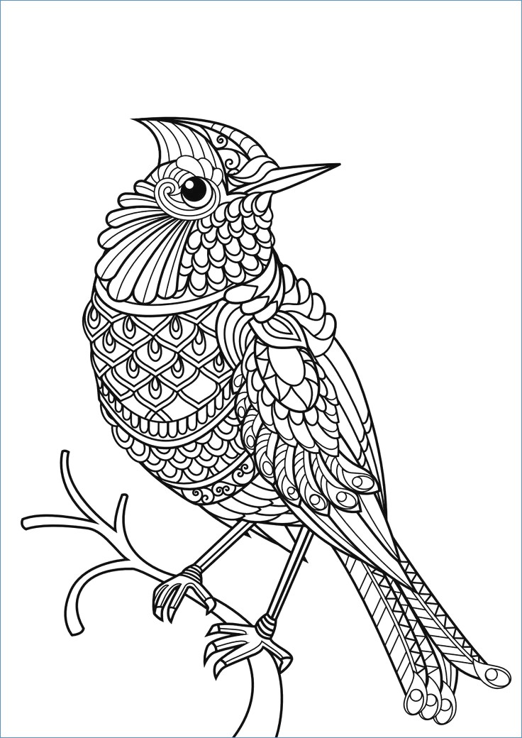 736x1040 Sparrow Bird Winter Animal Coloring Pages