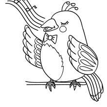 220x220 Sparrow Coloring Pages