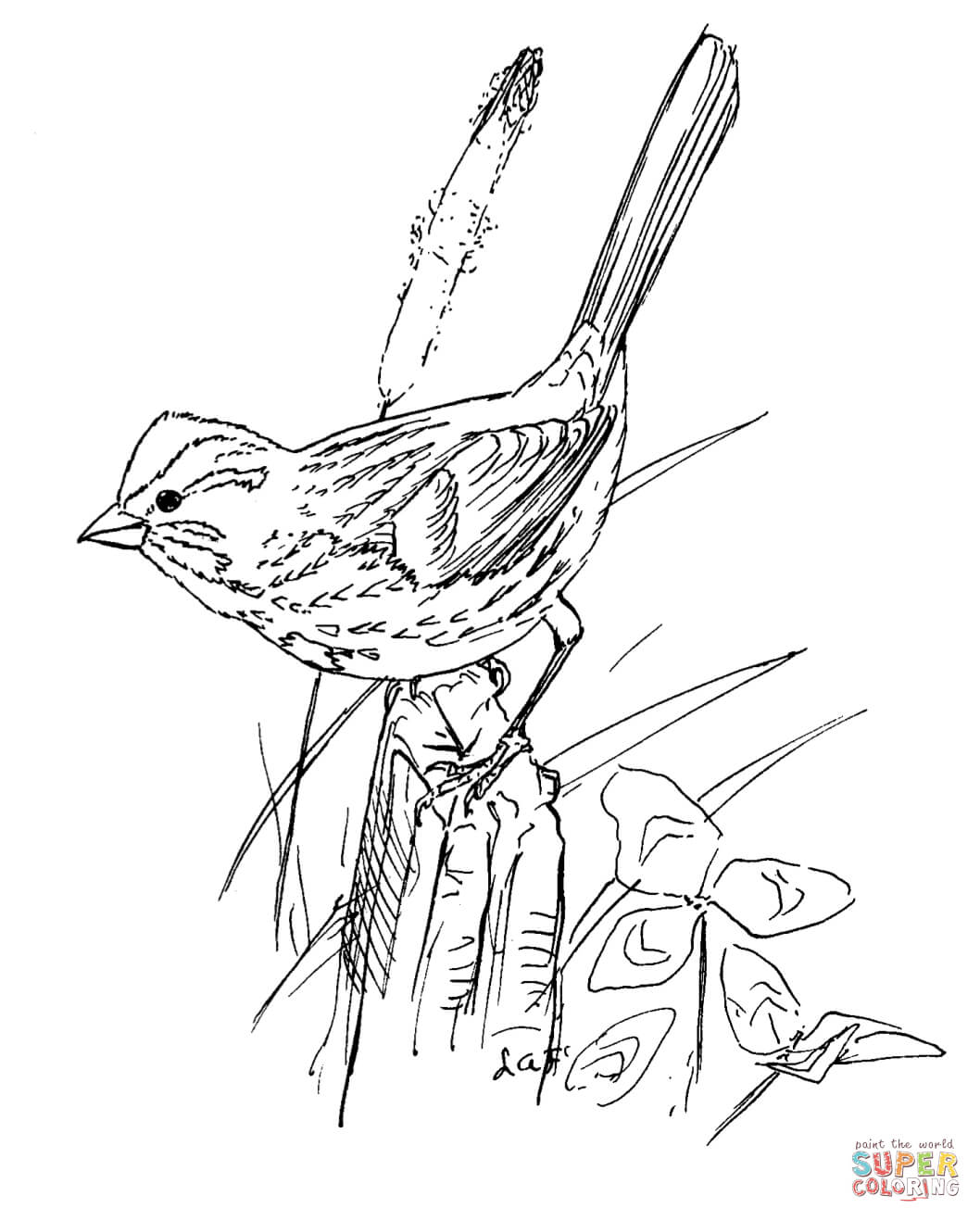 1058x1318 Realistic Bird Coloring Pages Song Sparrow Page Free Printable
