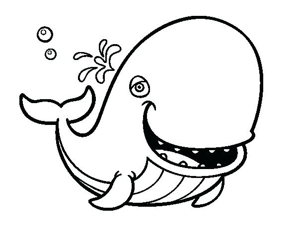 600x470 Kids Coloring Pages Kids Coloring Sperm Whale Coloring Page