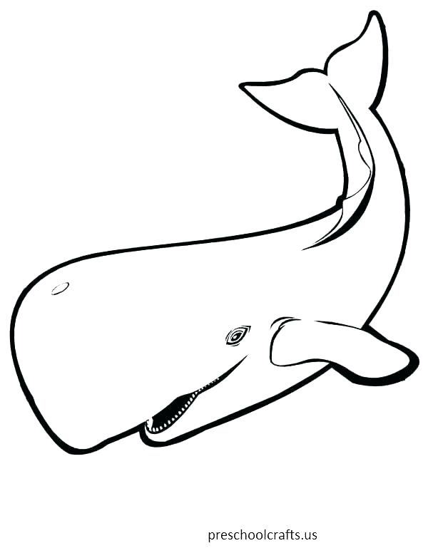 600x776 Printable Whale Coloring Pages For Kids Killer Whale Coloring