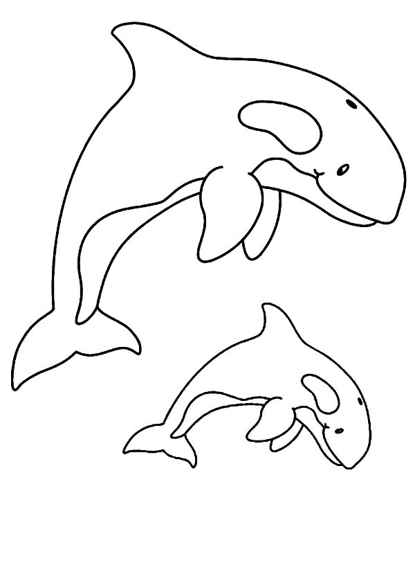 600x826 Whale Coloring Page Killer Whale Coloring Pages With Whale