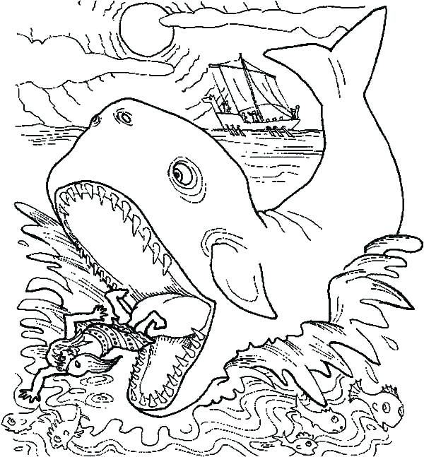 600x647 Whale Coloring Page