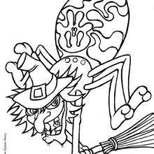 220x220 Spider Coloring Pages