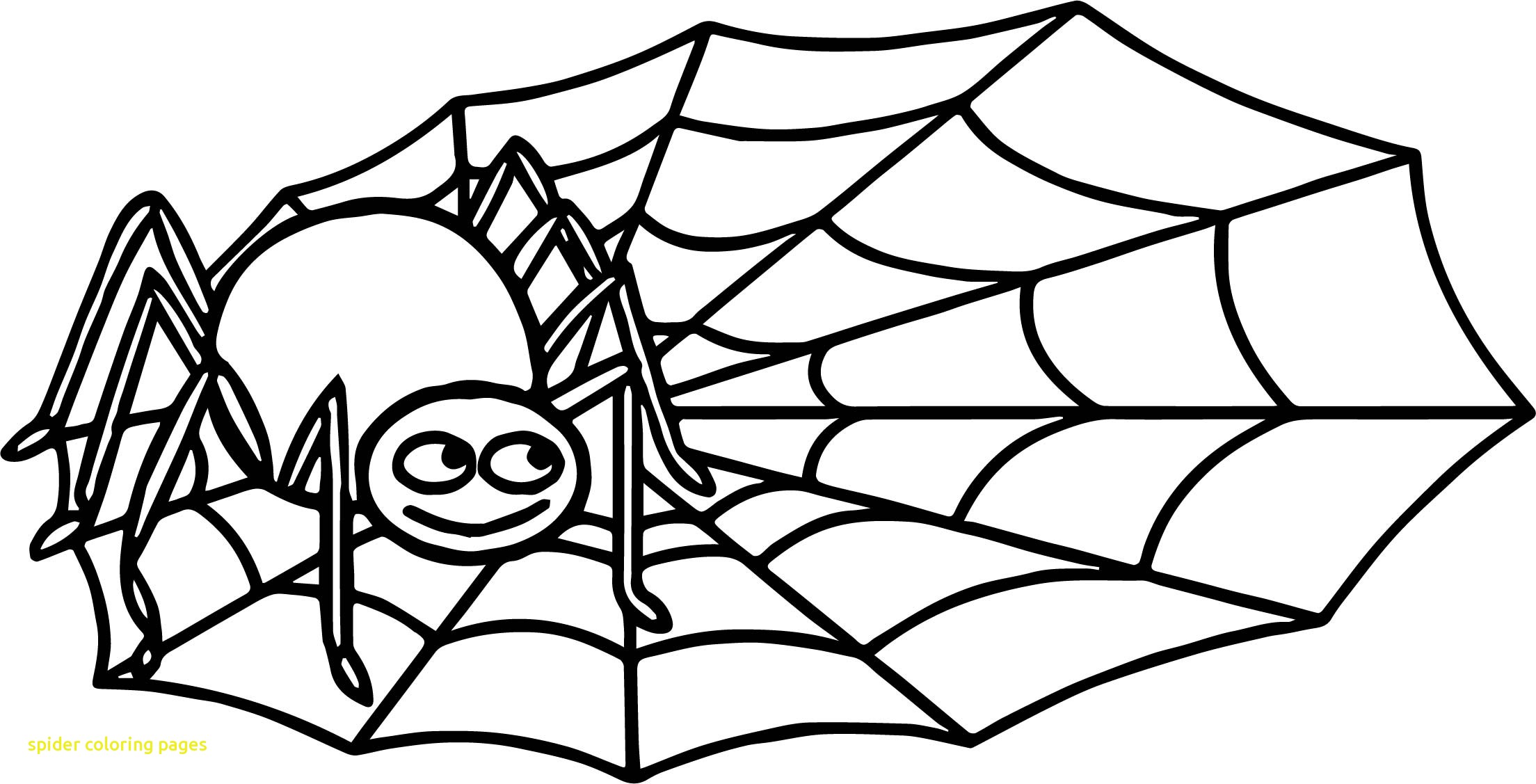 2208x1127 Spider Coloring Pages With Anansi Spider Coloring Page