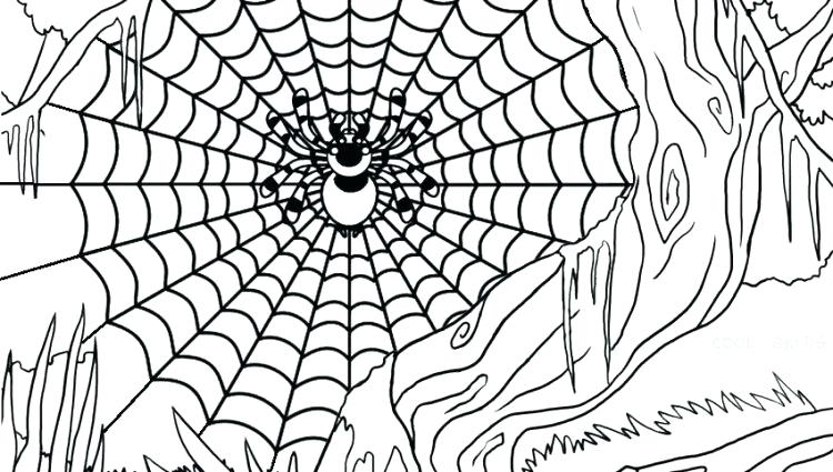 750x425 Funnel Web Spider Coloring Pages Kids Coloring Spider Web Coloring