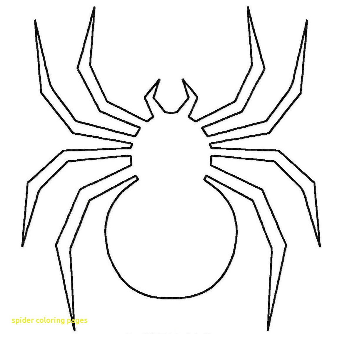 1146x1146 Spider Coloring Pages With Printable Amazing Spiders Sheet Acpra