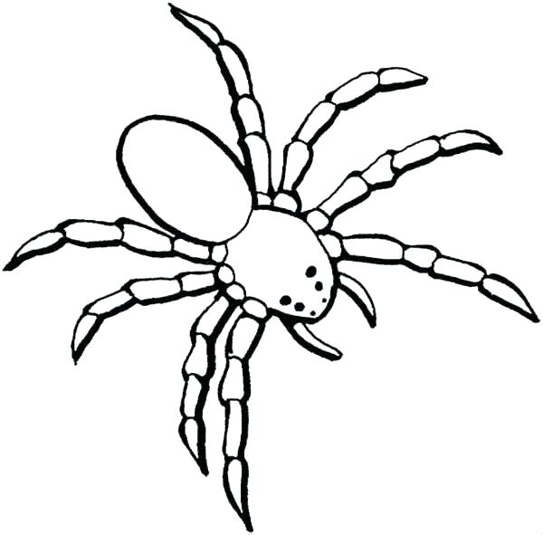 600x591 Spider Web Coloring Page Sign Of Spider Webs Coloring Page Spider