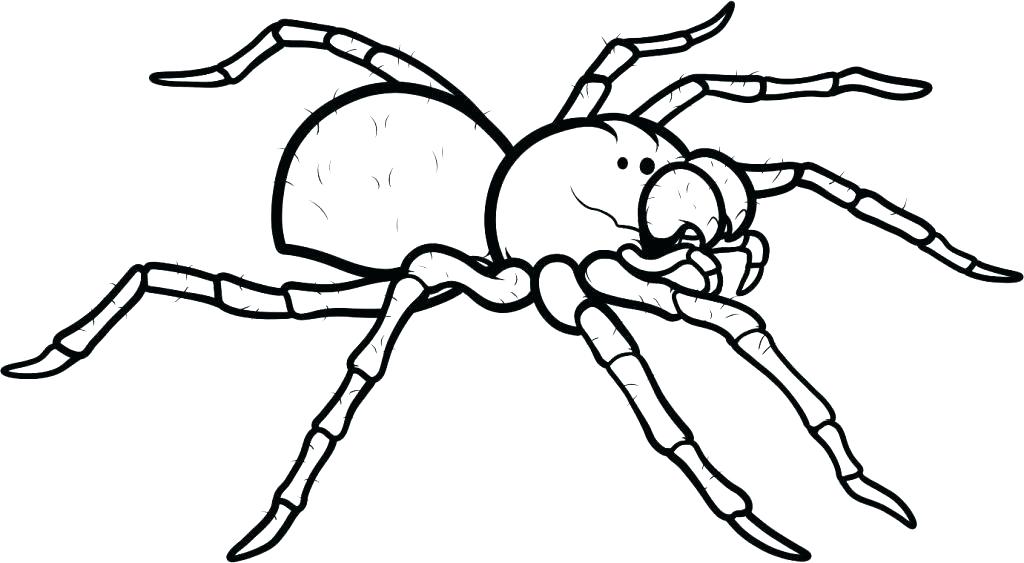 1024x563 Spiders Coloring Pages Spiders Coloring Pages Spider Coloring Page