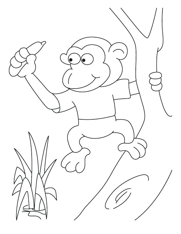 612x792 Spider Monkey Coloring Pages Amazing Spider Monkey Coloring Page