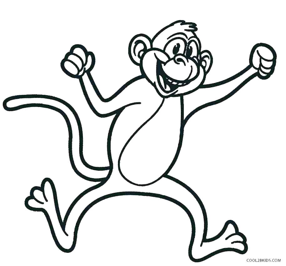 Spider Monkey Coloring Page at GetDrawings.com | Free for personal use