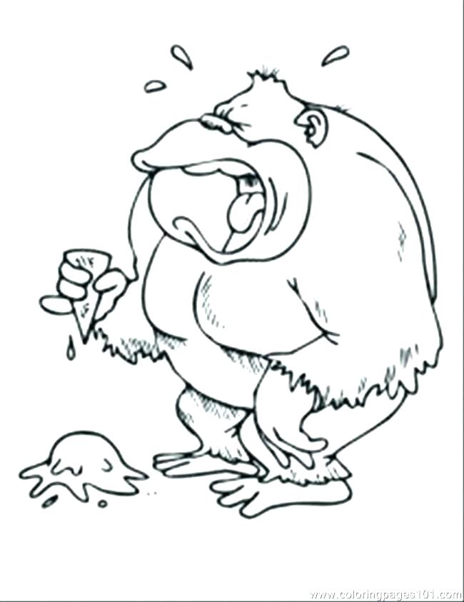 650x843 Spider Monkey Coloring Pages