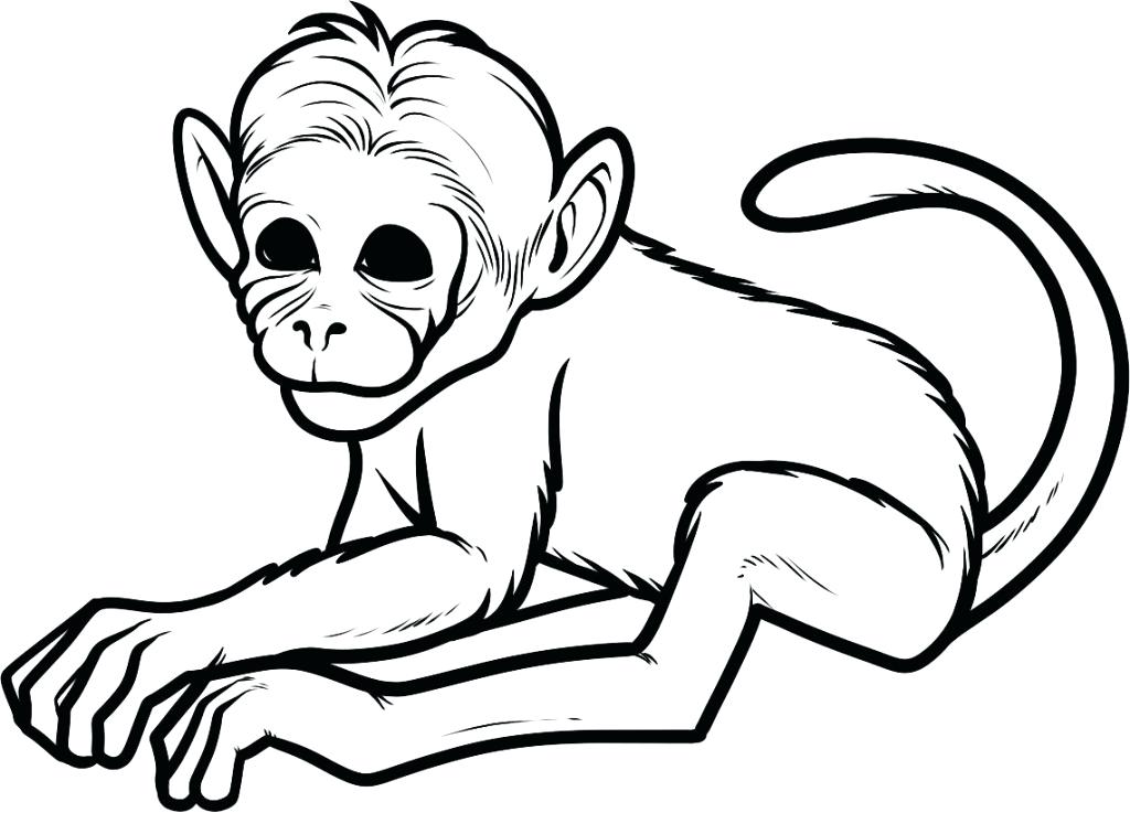 1024x737 Free Printable Monkey Coloring Pages For Free Printable Monkey
