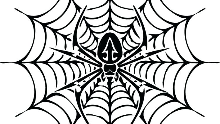 750x425 Halloween Spider Web Coloring Pages Kids Coloring Spider Web