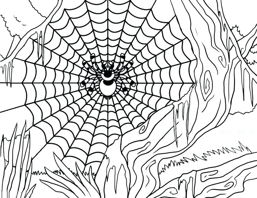 850x654 Spider Coloring Page Spider Color Page Spider Web Coloring Pages