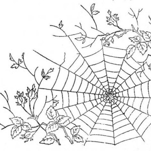 300x300 Spider Web Coloring Page