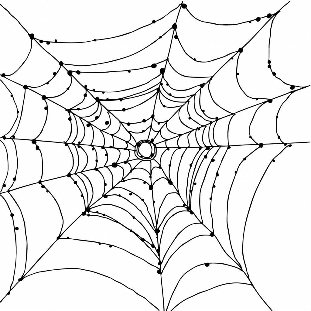 1024x1024 Best Spider Web Coloring Page