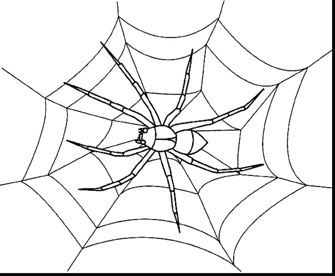 1155x952 Halloween Spider Web Coloring Pages Extraordinary Page Marvelous