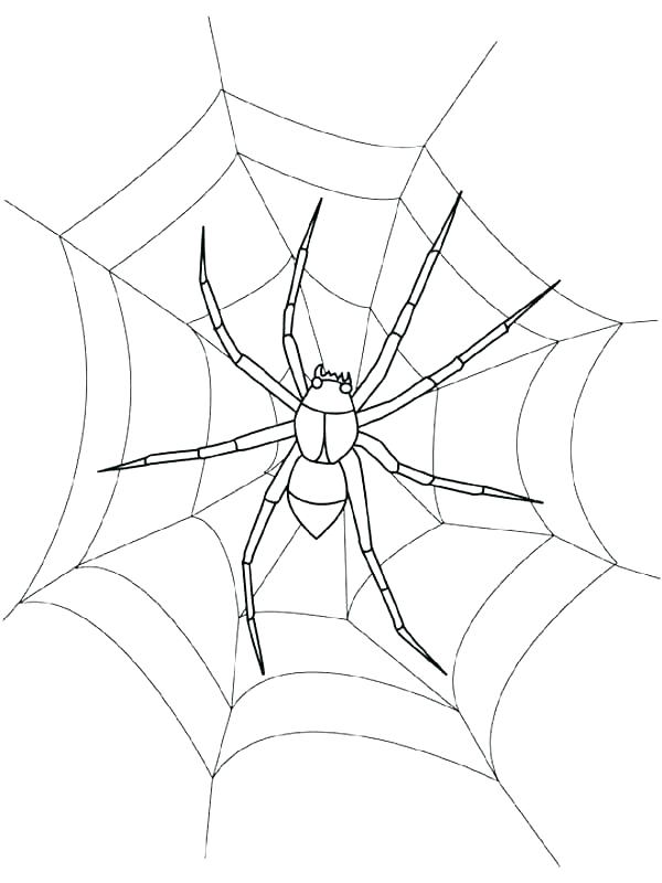 600x800 Spider Web Coloring Page Web Coloring Pages High Quality Spider