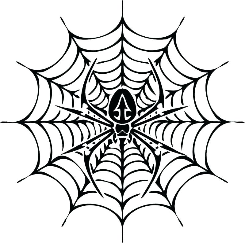 799x795 Spider Web Coloring Page With Spider Web Coloring Page Lovely Best