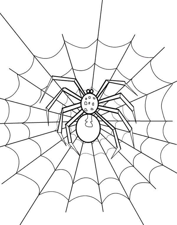 600x762 Spider Web Coloring Pages