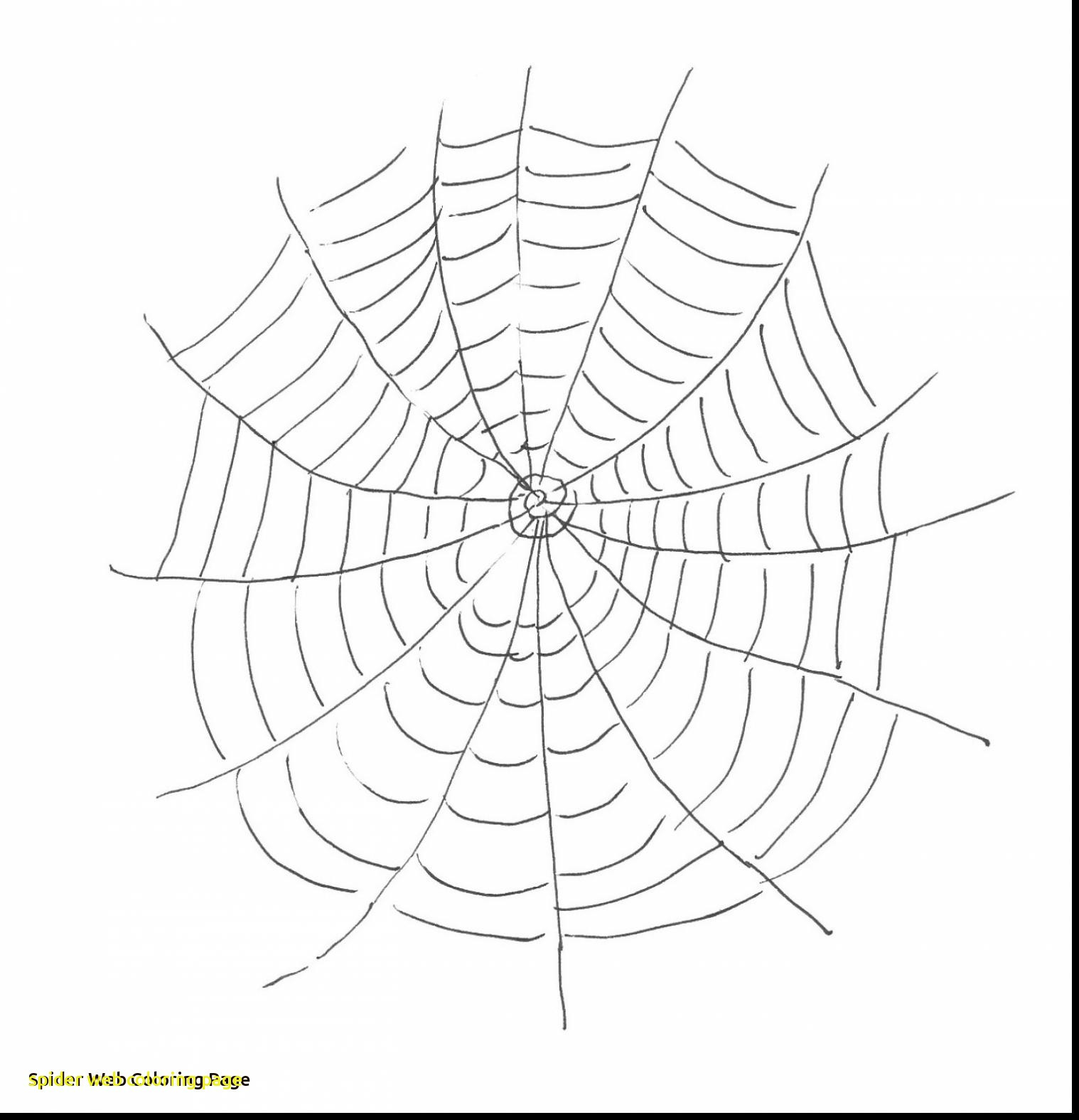 1518x1575 Spider Web Coloring Pages