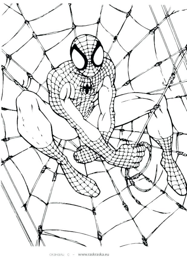618x851 Printable Spiderman Coloring Pages Adult Printable Coloring Pages