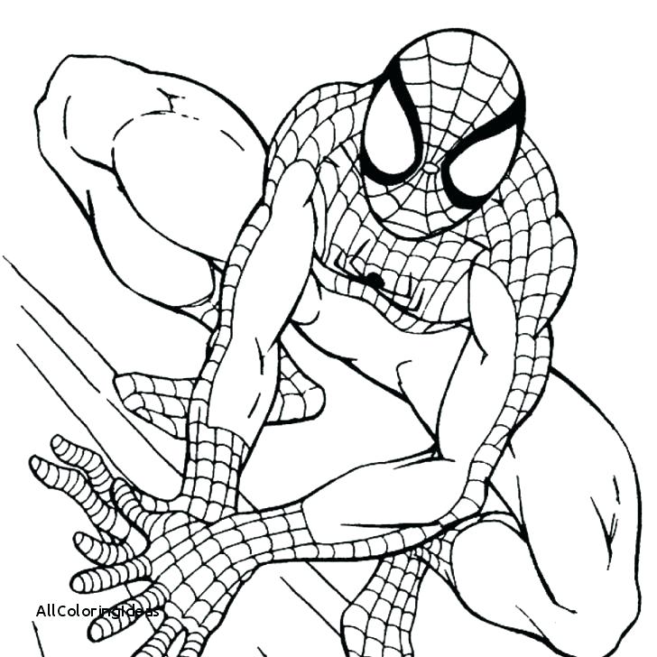 728x728 Spiderman Coloring Pages Free Online Vodaci Info Pertaining