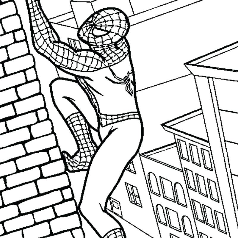 800x800 Spiderman Coloring Sheets Spiderman Coloring Pages Pdf Download