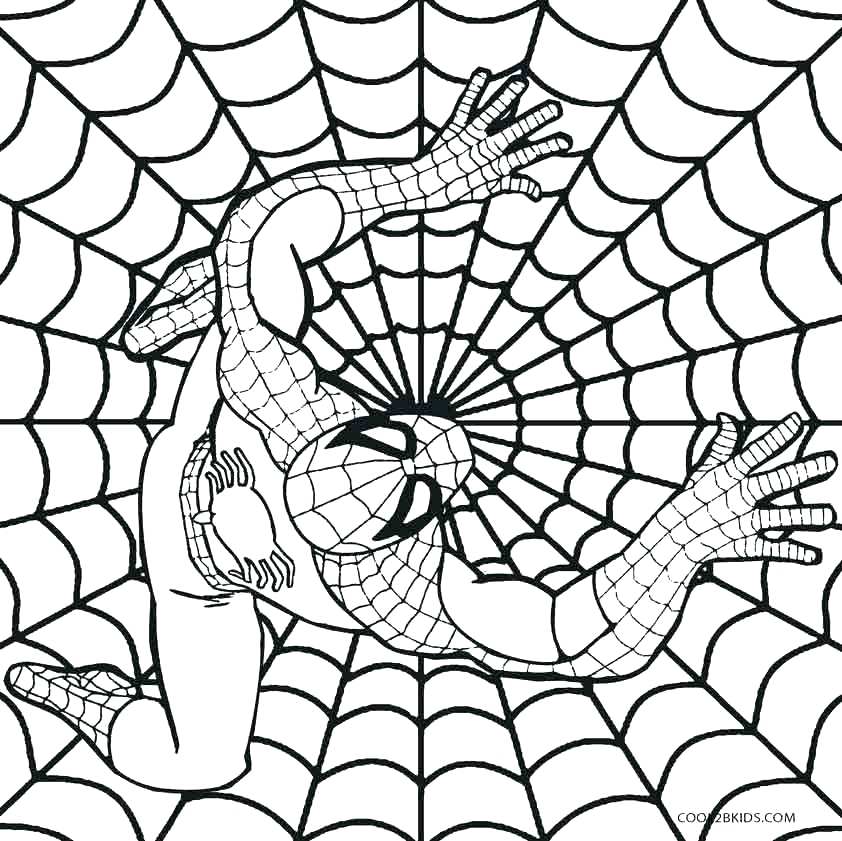 842x841 Appealing Spiderman Logo Coloring Pages Spider Man Coloring Pages