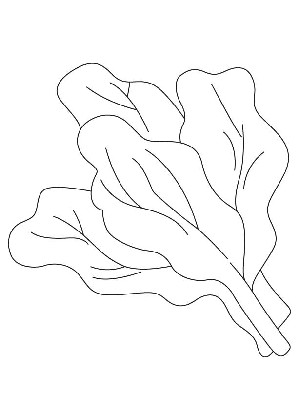 613x860 Spinach Leaves Coloring Page Download Free Spinach Leaves Spinach