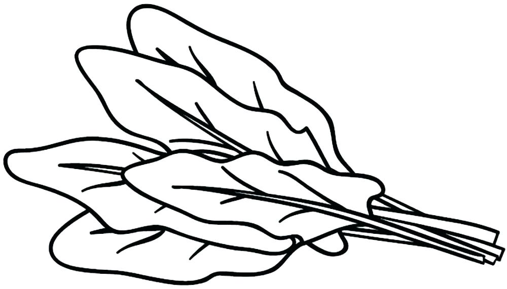 1000x571 Vegetables Coloring Pages Vegetable Coloring Pages Spinach