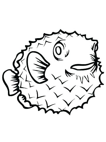 360x480 Porcupine Coloring Page Porcupine Coloring Page Picture Of A Fish