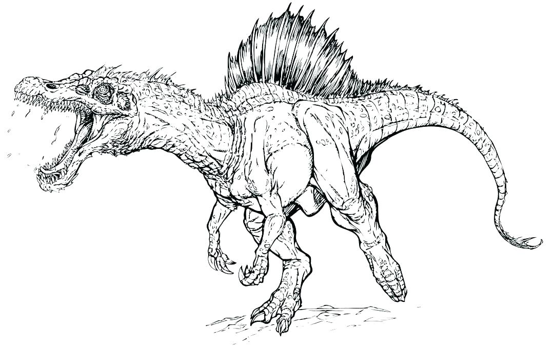 1080x674 Velociraptor Coloring Pages Coloring Page Spine Coloring Pages
