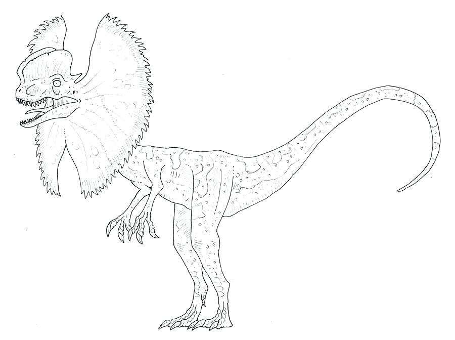 900x672 Velociraptor Coloring Pages Coloring Pages Black And White Spine