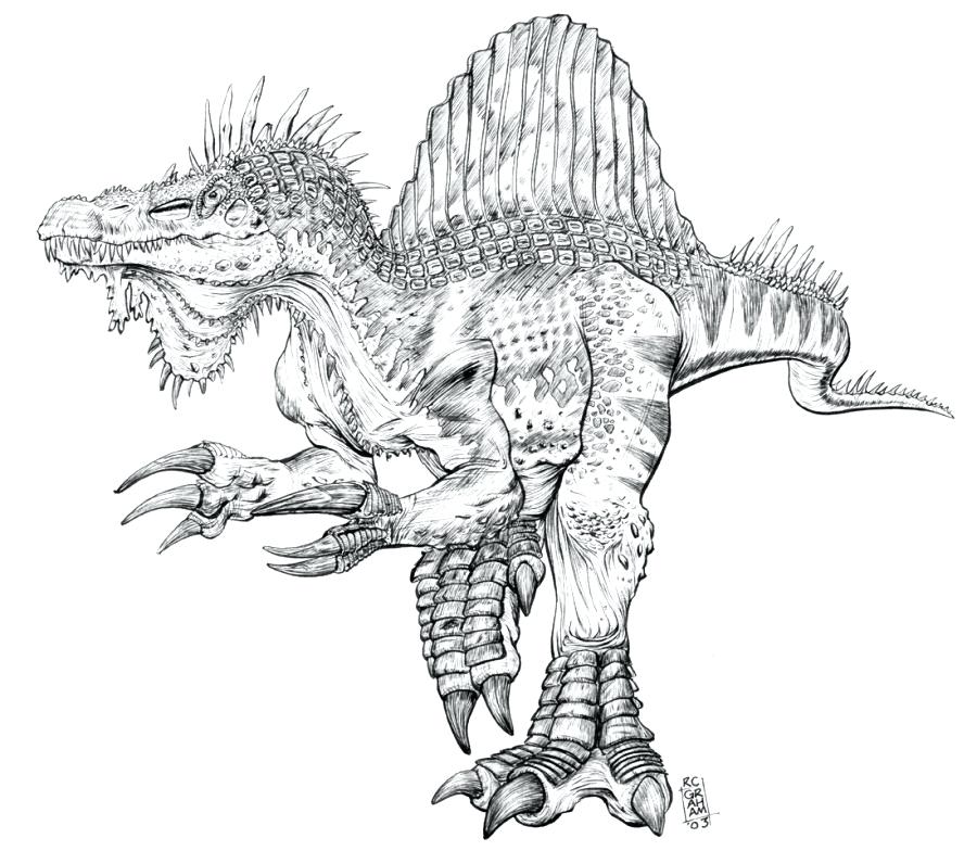 900x784 Realistic Spinosaurus Coloring Pages Coloring Pages Coloring Pages