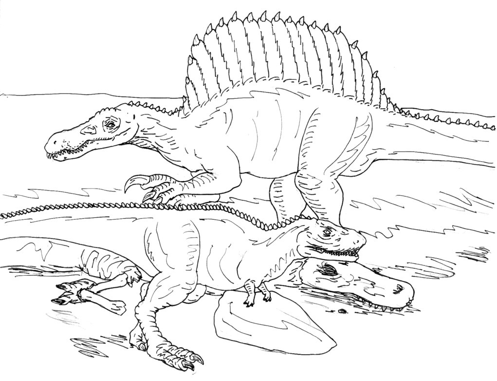 1021x782 Spinosaurus Coloring Pages Printable Coloring Pages