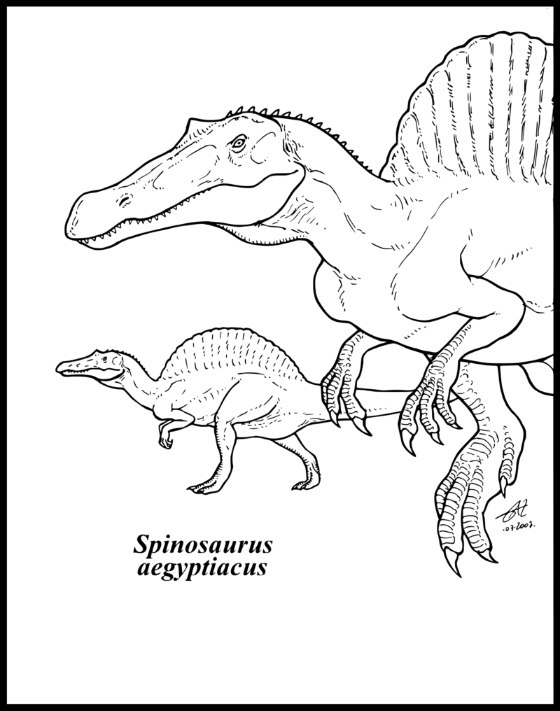 800x1016 Spinosaurus Coloring Pages