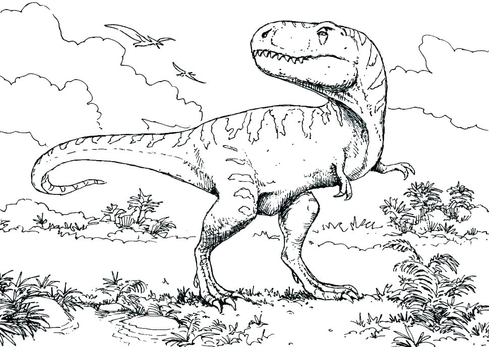 970x689 Spinosaurus Coloring Pages Park Coloring Page Park Coloring Book