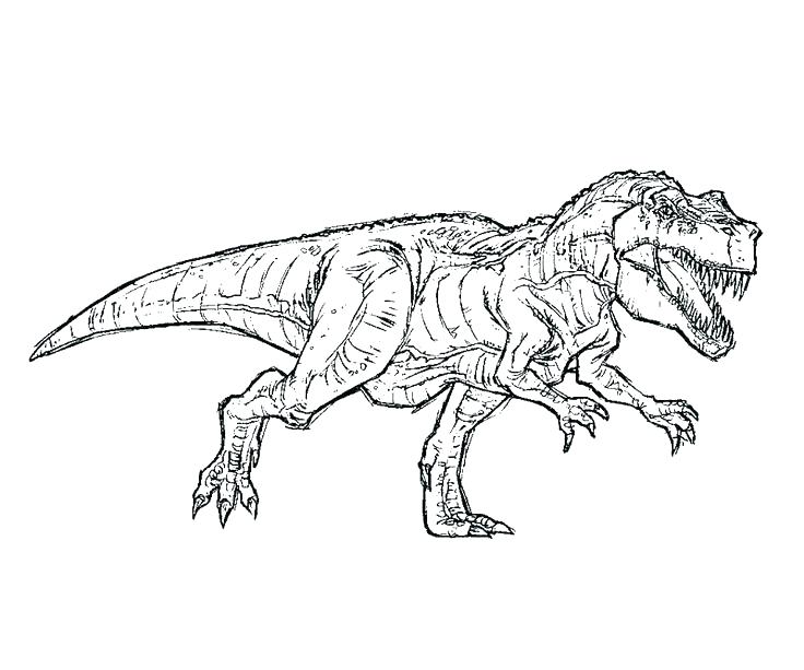 736x613 Spinosaurus Coloring Pages Printable