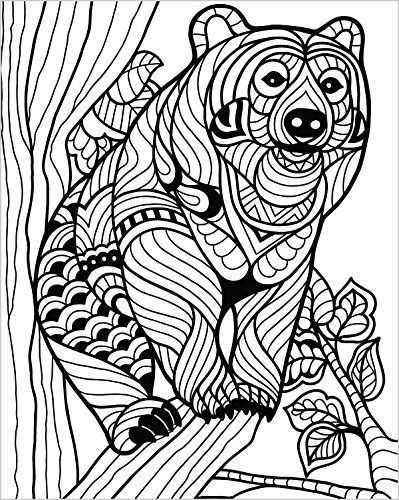 399x500 Colorit Wild Animals Coloring Book Premium Hardcover With Top