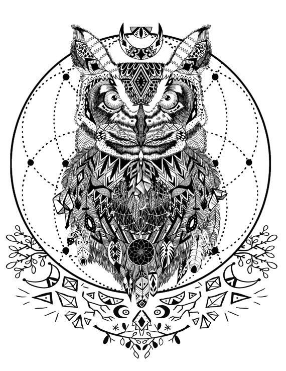 570x738 Wild And Free Spirit Animals