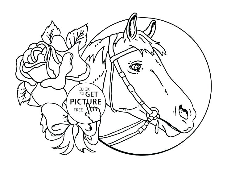 736x551 Spirit Horse Coloring Pages