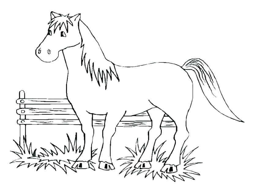 850x601 Horses Coloring Pages